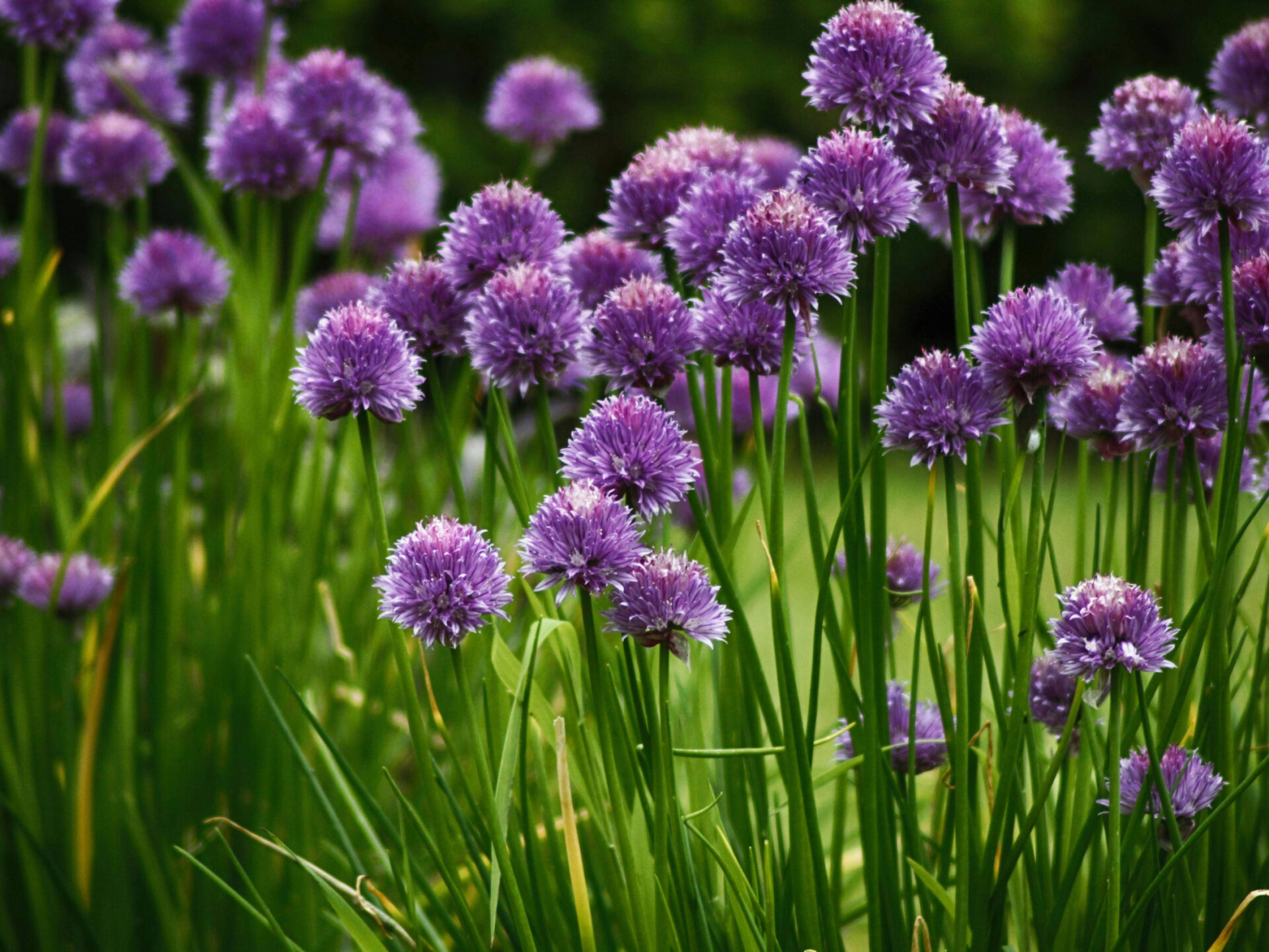 pexels philippe bonnaire 15114877 6354400 (1)